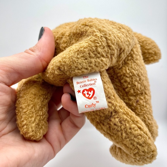 Ty Curly Bear Beanie Baby, plush bear collectable - Picture 4 of 5